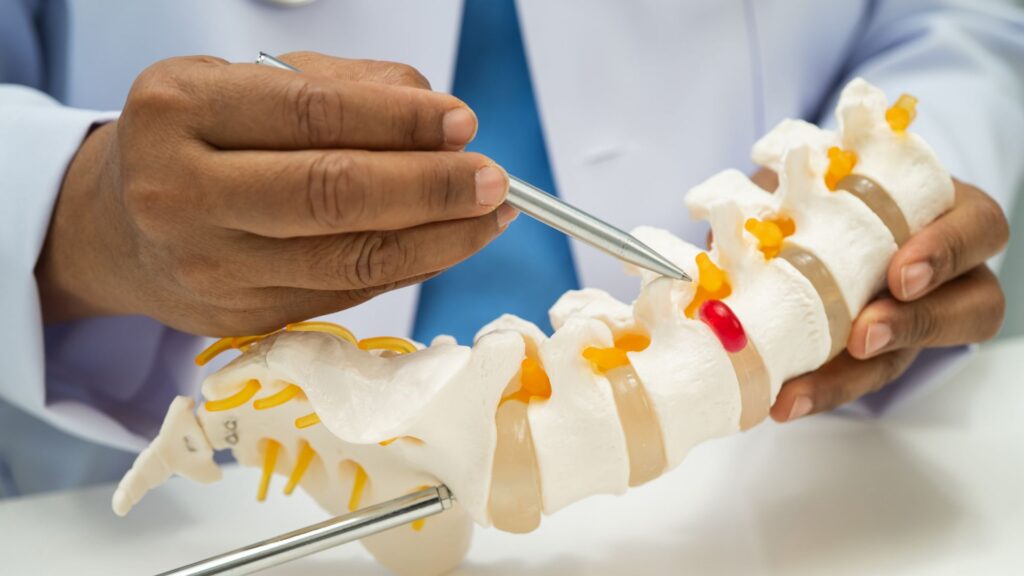 A doctor points at a red highlighted area on a white spinal model using a metal tool, illustrating spinal anatomy and potential pain points.