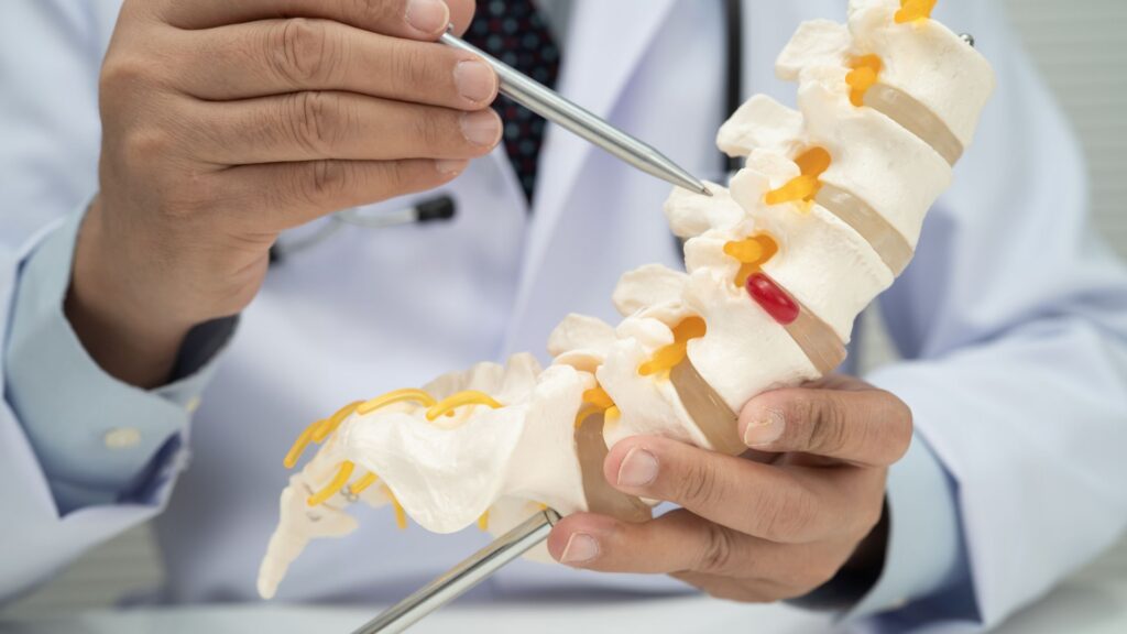 A doctor in a white coat uses a pointer to explain a model of a human spine. The model shows vertebrae, nerves, and a highlighted disc.