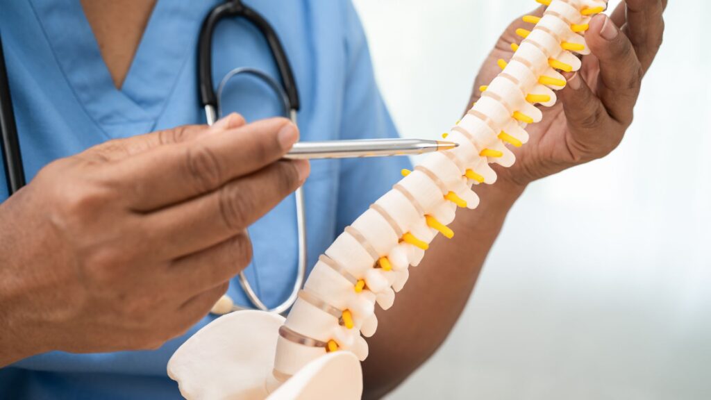 A person in blue scrubs holds a spine model, pointing at it with a pen. The focus is on vertebrae, emphasizing medical examination of the spine.